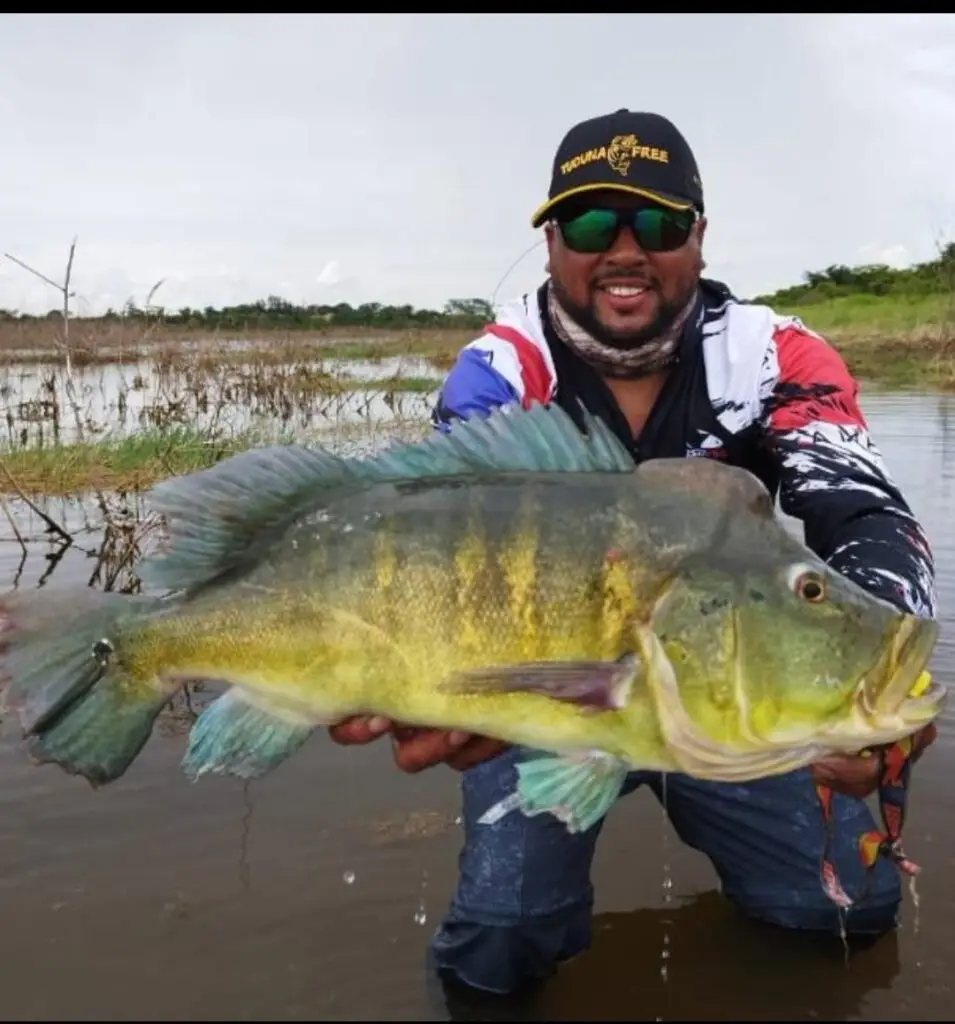 Guia de Pesca Esportiva, rio Tietê